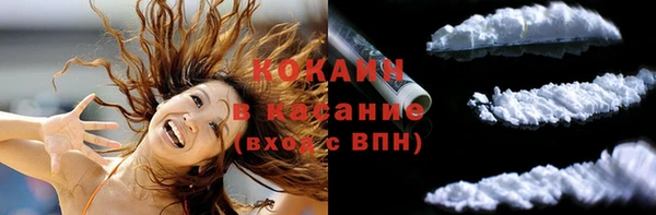 не бодяженный Бородино