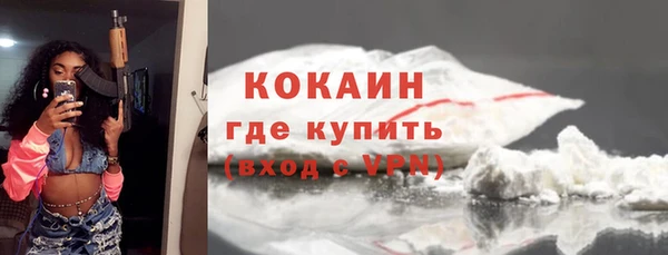 не бодяженный Бородино