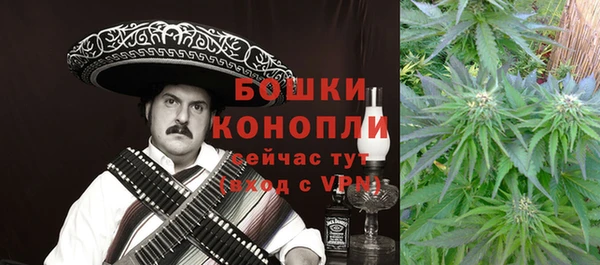 не бодяженный Бородино