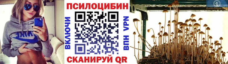 blacksprut ТОР  Вологда  Галлюциногенные грибы Cubensis 