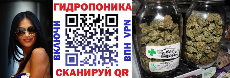 Бошки марихуана тримм наркота Вологда
